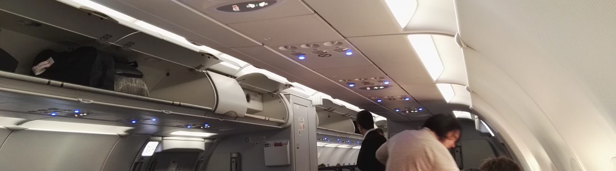 Нормы провоза багажа на борту самолета в 2019 году